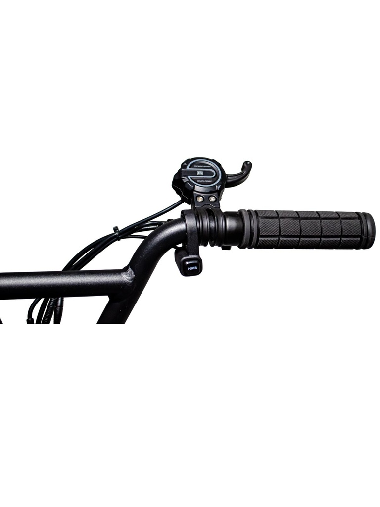 Dualtron Togo Ltd 60V